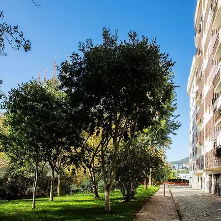 Com Vista Castelo Апартаменты *